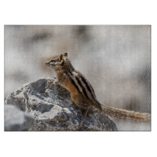 Planche À Découper Écureuil Vif – Photographie de la Nature Canadienn