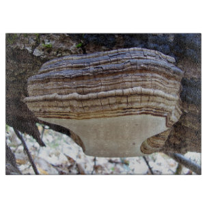 Planche à découper en verre champignon Phellinus i