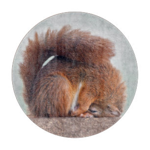 Planche à découper en verre rond Yoga Squirrel