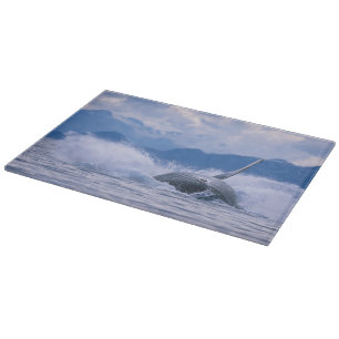 Planche À Découper États-Unis, Alaska, Tongass National Forest, Bossu