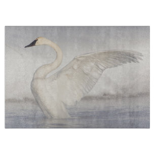 Planche À Découper États-Unis, Wyoming, Cygne trompette étend ses ail