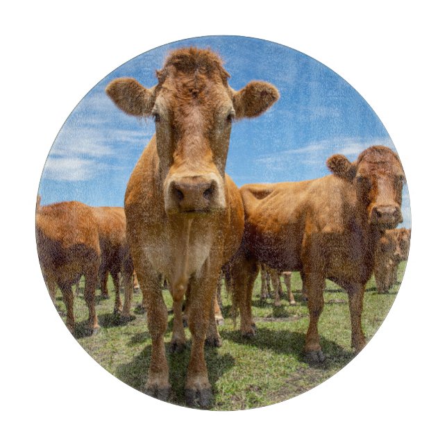 Planche À Découper Farms | Brown Cow (Devant)