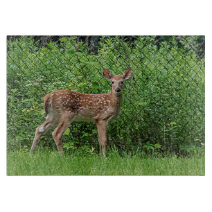 Planche À Découper Faune devant une clôture
