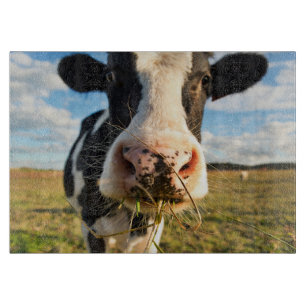 Planche À Découper Fermes   Vache Holstein Chewing
