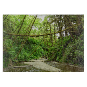 Planche À Découper Fern Canyon I au Redwood National Park