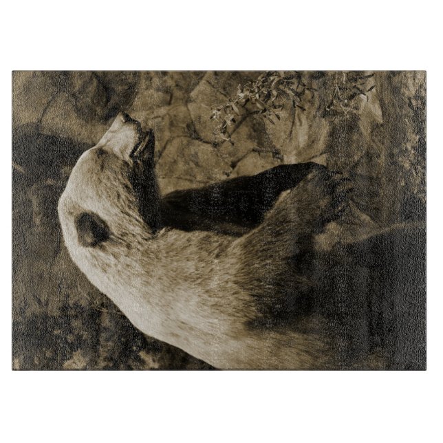 Planche À Découper Fière Ours (Devant)