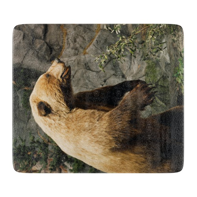 Planche À Découper Fière Ours (Devant)