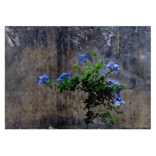 Planche À Découper Fleur bleu Plumbago