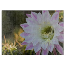 Fleur de cactus pourpre et blanc