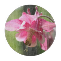 Fleur de colombine rose