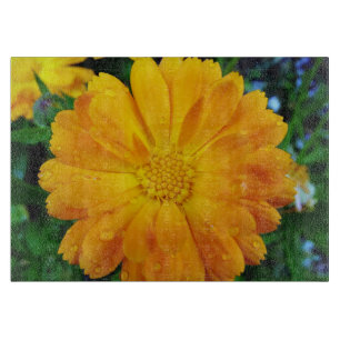 Planche À Découper fleur de marguerite d'été jaune assez fleurie.