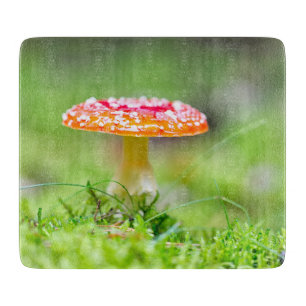 Planche À Découper Fliegenpilz