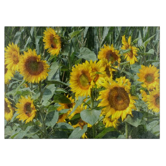 Planche À Découper Flower, sun, plant, nature, summer, floral (Devant)