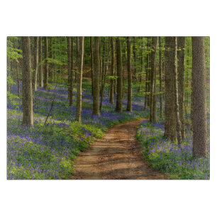 Planche À Découper Forêt   Forêt Bluebell en Belgique