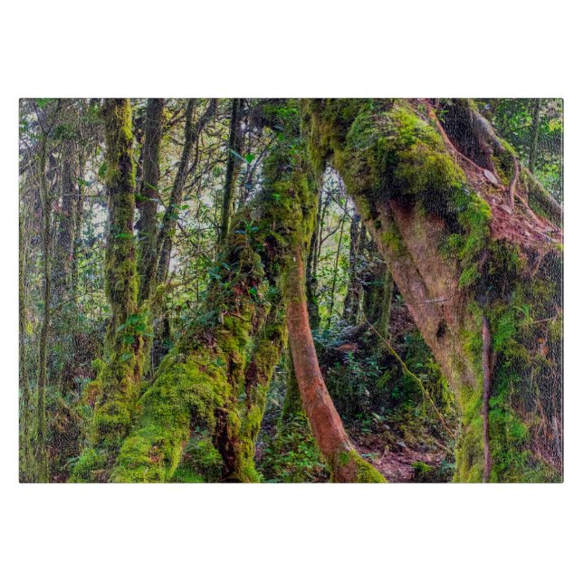 Planche À Découper Forêt moussue (Devant)