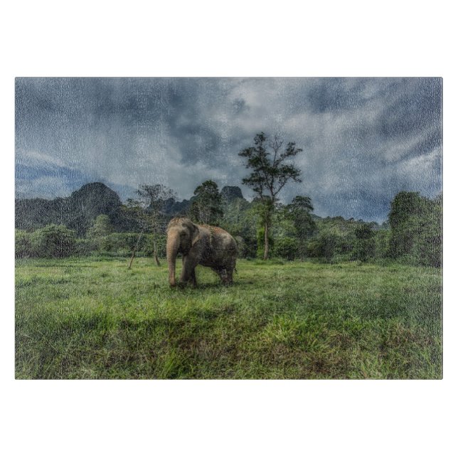Planche À Découper Forêt | Parc national de Kao Sok (Devant)