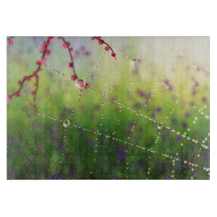 Planche À Découper Gemmes d'un conseil de coupe du matin du printemps