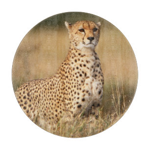Planche À Découper Guépard sur un petit monticule pour une meilleure 
