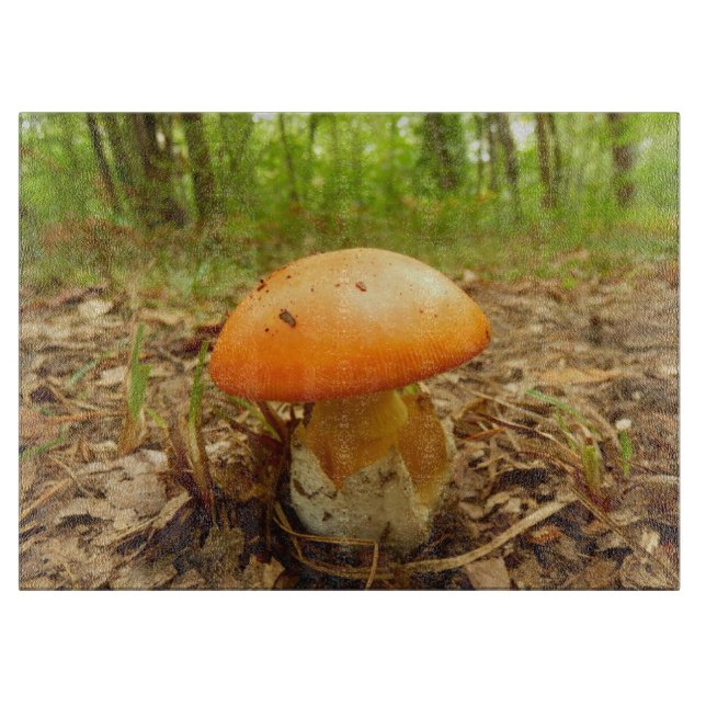 Planche À Découper Hachoir en verre de champignon de Césarée (Devant)