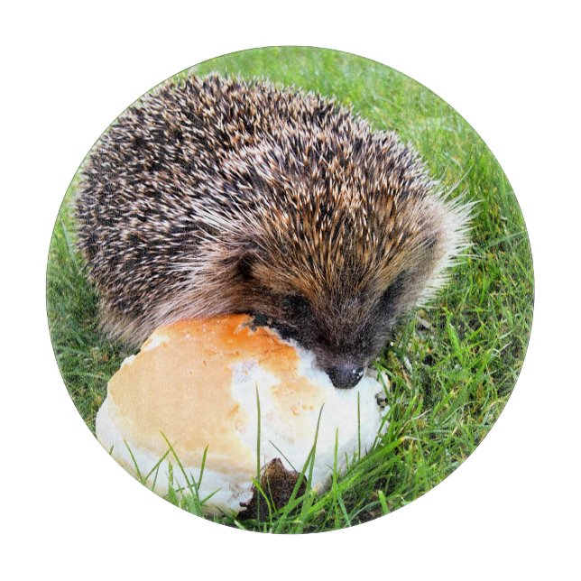 PLANCHE À DÉCOUPER HÉDGEHOG (Devant)