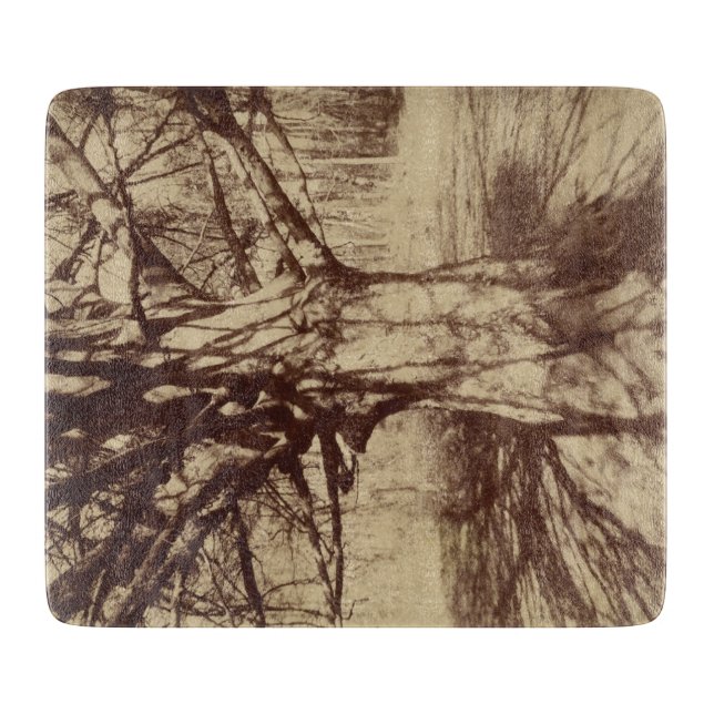 Planche À Découper Hêtre (par Eugène Atget) (Devant)