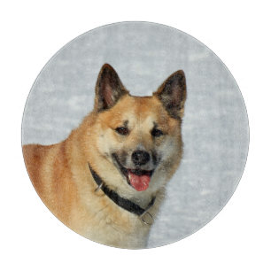 Planche À Découper IcelandicSheepdog20150904