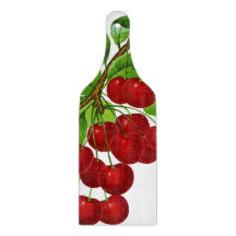 Illustration 1899 de cru : cerises rouges mûres