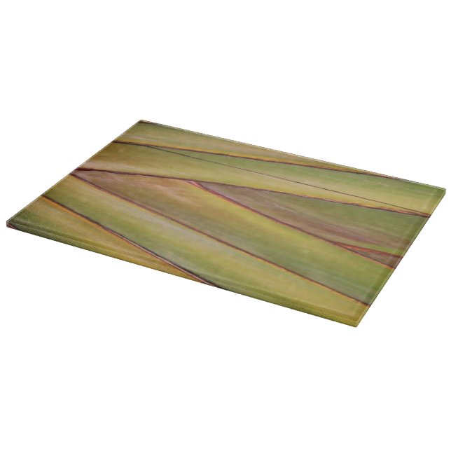 Planche À Découper Image de palme de voyageur en verre trempé (Coin)