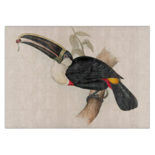 Planche À Découper Impression du Toucan de Cuvier : Oiseau Tropical V