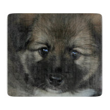 Irish Sheepdog 2014-0808