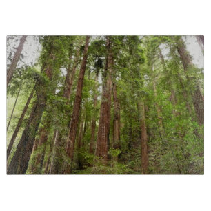 Planche À Découper Jusqu'à Redwoods I au monument national de Muir Wo