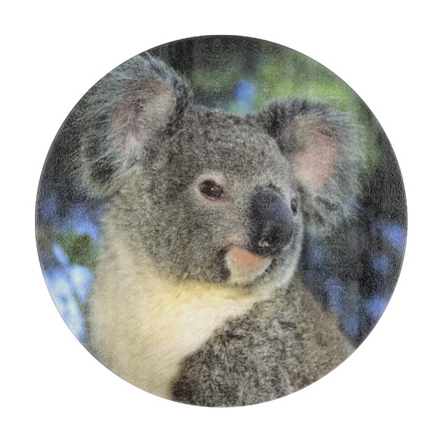Planche À Découper Koala, Phascolarctos cinereus), Australie, (Devant)