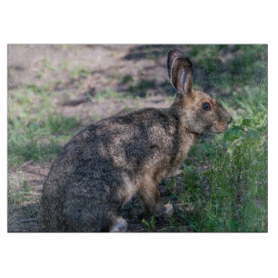 Planche À Découper Lapin Brown, Repos dans la nature