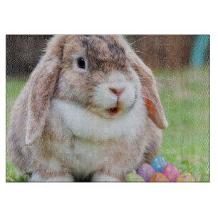Planche À Découper Lapin de Pâques