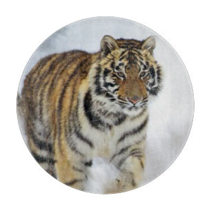 Planche À Découper L'art des amateurs de tigres