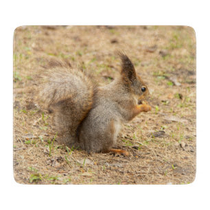 Planche À Découper L'écureuil mignon mange une photo de noix
