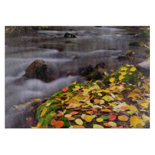 Planche À Découper Les couleurs d'automne le long de McGee Creek