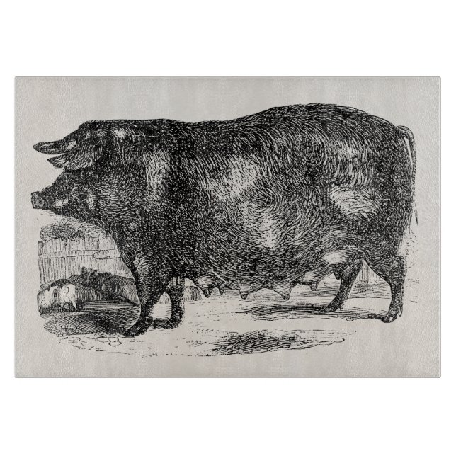 Planche À Découper Les porcelets domestiques vintages de porc ont (Devant)