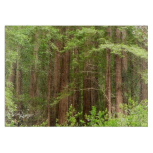 Planche À Découper Les séquoias au monument national de Muir Woods