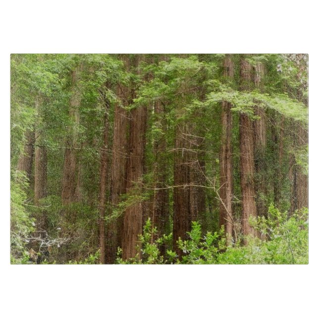 Planche À Découper Les séquoias au monument national de Muir Woods (Devant)