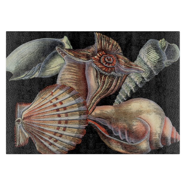 Planche À Découper Les trésors de la mer (Devant)