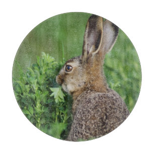Planche À Découper Lièvre brun, Lepus europaeus, jeune mangeant,