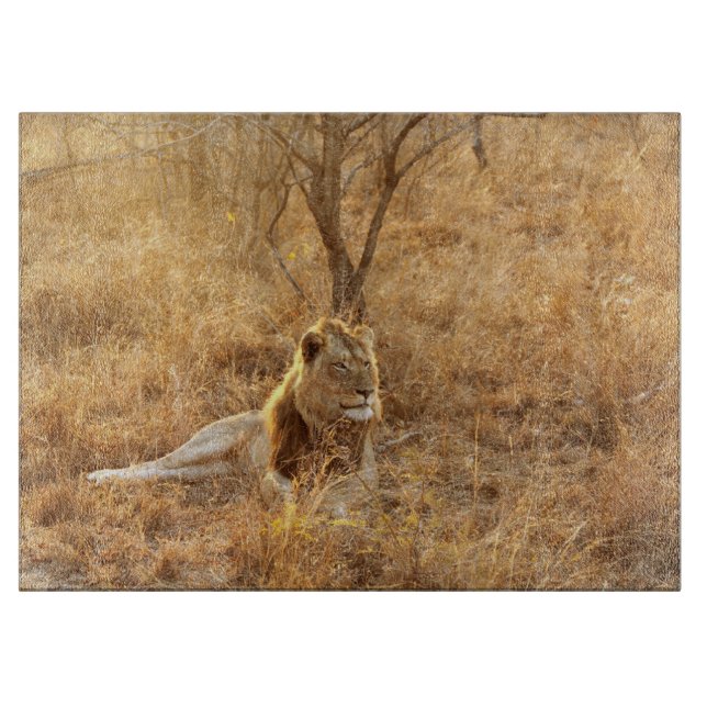 Planche À Découper Lion (Devant)