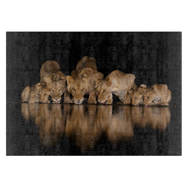 Planche À Découper Lion Pride Drinks at the Water Hole at Night (Devant)