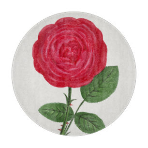 Planche À Découper Lithographie de rose antique, François-Frédéric Gr