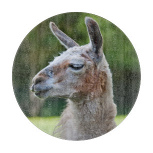 Planche à découper Llama