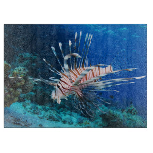 Planche À Découper Miles de poissons-lions ou de ptérois, poissons de