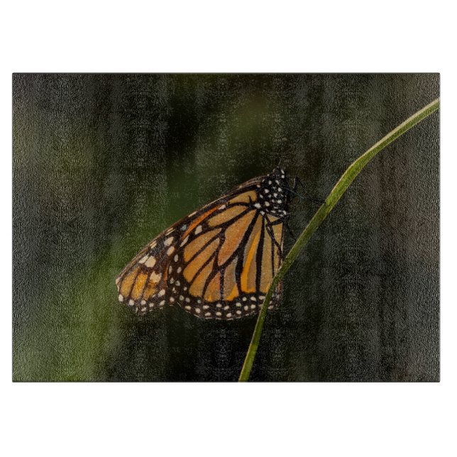 Planche À Découper Monarque illuminé (Devant)