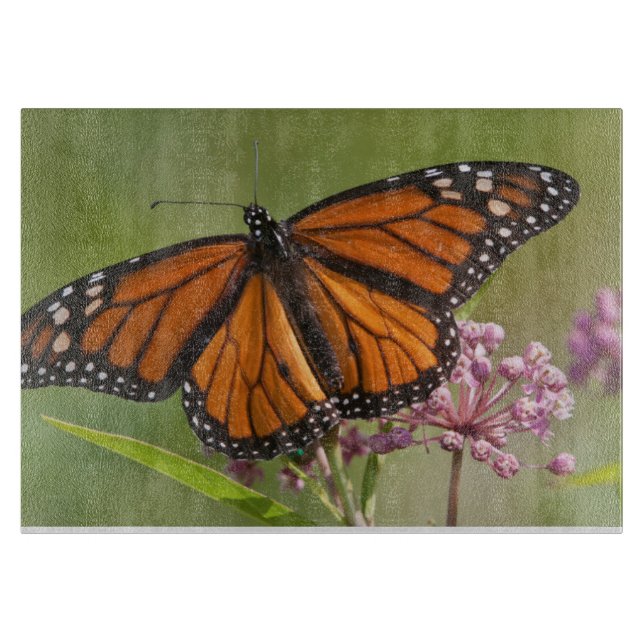 Planche À Découper Monarque papillon mâle sur le marécage Milkweed (Devant)