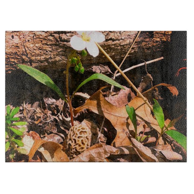 Planche À Découper Morel (Devant)